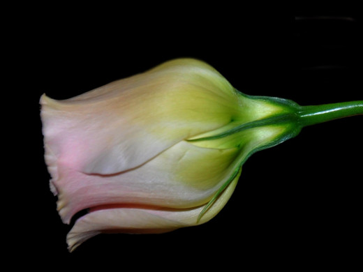 429256 (a): :1600x1200